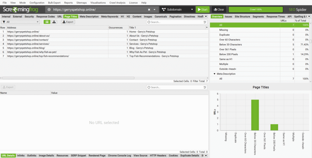 Screaming Frog Audit