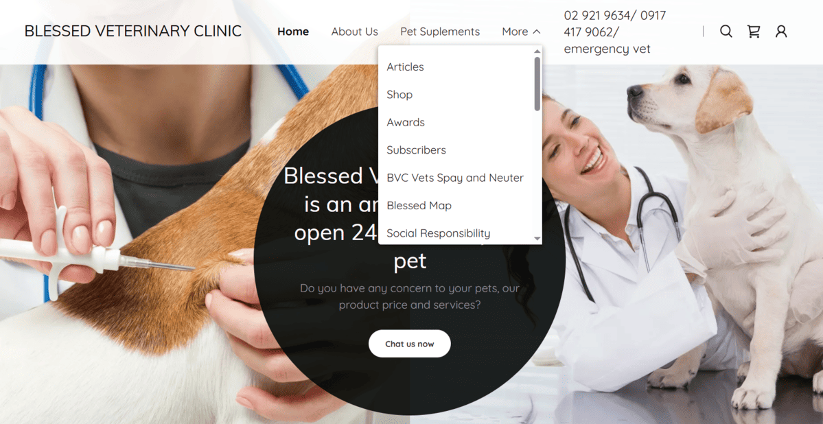 Current Navigation Structure (Before Optimization)